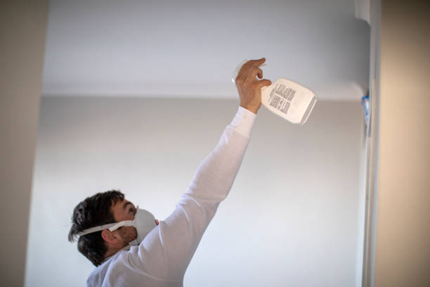 Best Attic Mold Removal  in Sterling, GA